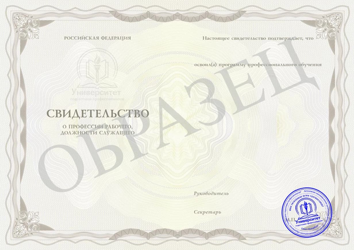 Образец: Свидетельство о профессии рабочего, должности служащего, страница 2